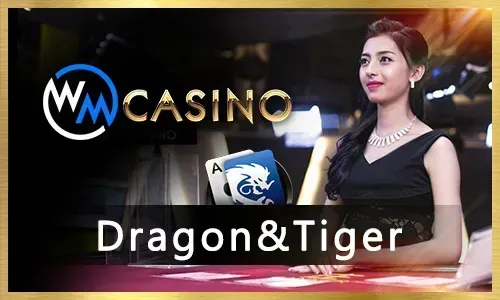 Top Gaming Provider D